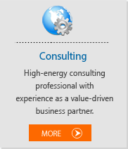 Consulting
