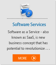 softwareservices